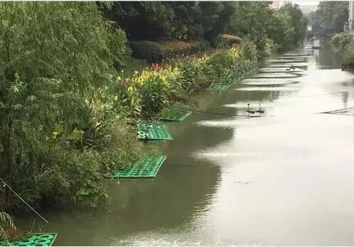 河道生態(tài)恢復(fù)